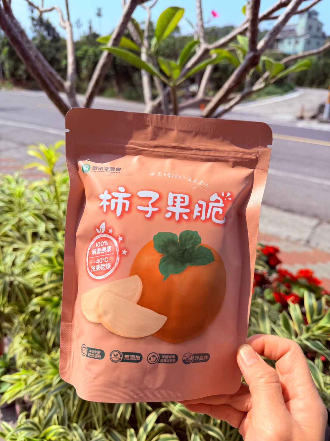 100%番路牛心柿子果脆<br />~讓水果，回到最純粹的樣子~<br /><br />採用 真空冷凍乾燥技術，在低溫環境中去除水分，有效保留水果的原色、原味與營養。<br /><br />不經油炸，不額外添加，讓果實以最接近原型的狀態呈現。<br /><br />🍊 不加糖<br /><br />🍊 不加人工色素<br /><br />🍊 非油炸、無負擔<br /><br />🍊 常溫保存，即開即食<br /><br />🍊保留鮮果原味與營養<br /><br />忙碌的上班日、<br />午後的一段小休息，<br />或只是想對自己好一點的時候。<br /><br />不用準備、沒有負擔，<br />這包果脆，剛剛好。<br /><br />我們相信真正好的零食，不需要過多修飾。<br /><br />以 台灣在地鮮果 × 科技保鮮 為核心，讓水果，回到最純粹的樣子。