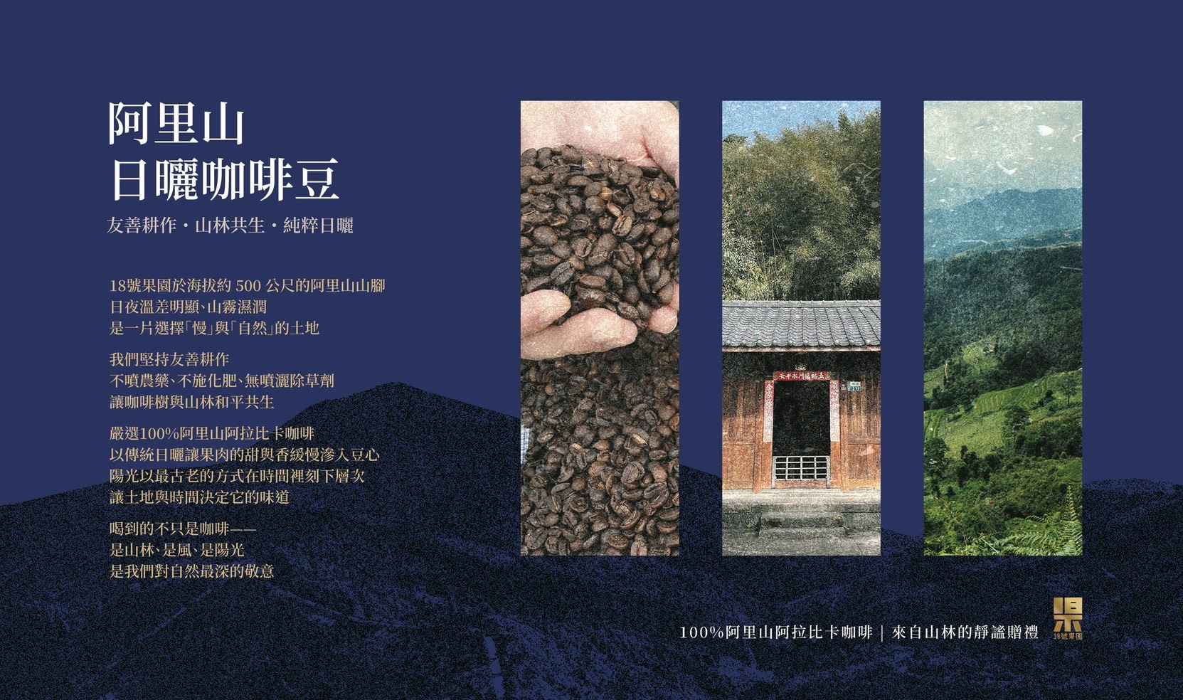 18號果園 – 淬鍊陽光與土地的純淨風味<br />在一個追求速度與產量的時代，我們選擇回歸最純粹的初心。<br /><br />18號果園，不僅是一座莊園，更是我們與自然對話的靜謐之境。這裡的每一顆咖啡豆，都源自我們對土地的敬意與對品質的堅持。<br /><br />我們的承諾：<br /><br />純淨血統，阿拉比卡精品：<br />我們只栽種最優質的阿拉比卡咖啡樹，確保從源頭就具備了香醇回甘的優秀基因。<br /><br />友善耕作，與自然共好：<br />我們拒絕使用化學農藥與除草劑，以最自然的方式呵護咖啡樹的生長。這不僅是對環境的友善，更是為了讓每一顆果實都能純淨無負擔地吸收天地精華。<br /><br />陽光淬鍊，甘甜的靈魂：<br />我們相信，最美好的風味來自太陽的饋贈。採收後的咖啡豆，我們堅持採用「全日曬處理法」，讓豆子在溫暖的陽光下緩慢熟成。這個過程鎖住了咖啡豆最原始的甜感與豐沛的果香，造就了它香醇回甘、風味層次豐富的迷人靈魂。<br /><br />全程手採，只為完美：<br />我們深信，機械無法取代人眼的判斷。經驗豐富的農人親手採摘每一顆恰到好處的成熟咖啡櫻桃，確保只有最飽滿、最完美的果實，才能進入後續的製程。<br /><br />從枝頭到您的杯中之物，「18號果園」的每一杯咖啡，都是一份來自陽光的禮物，蘊含著大地的溫暖與農人的手感溫度。