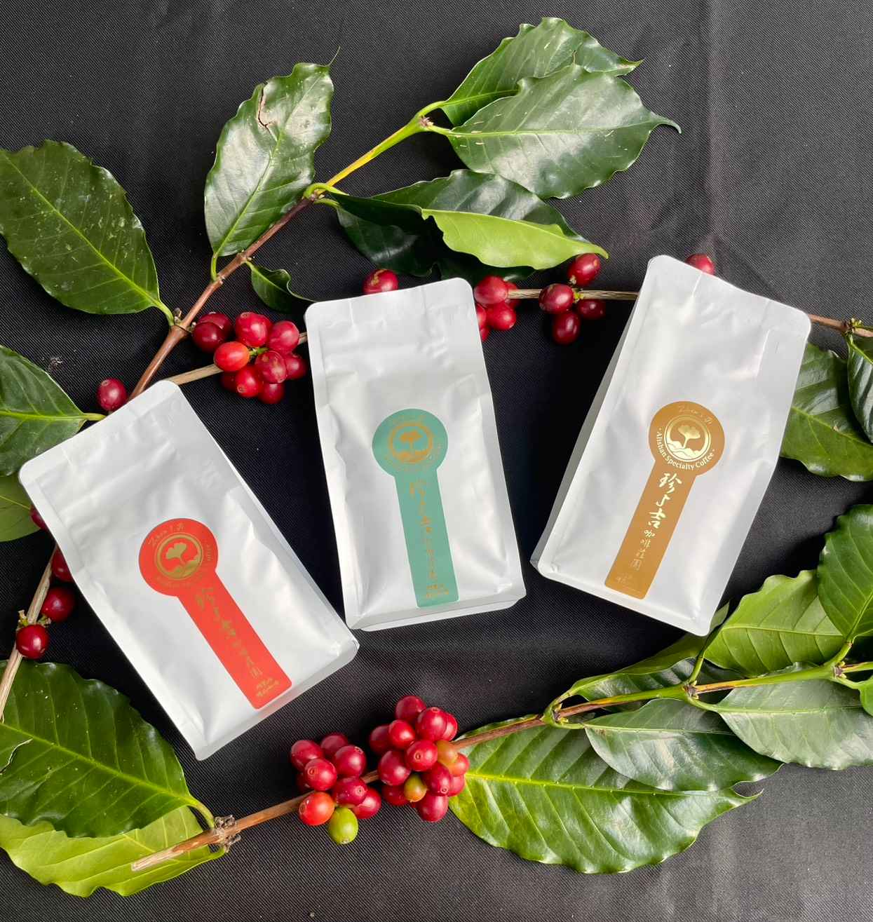 嘉義縣優質咖啡莊園評鑑 榮獲 🌟🌟5星🌟咖啡莊園🌟🌟<br />處理法分為三種，可依個人喜愛選擇風味<br />【水洗】風味乾淨、酸值明亮、水果風味<br />【日曬】莊園明星熱銷風味！！！口感厚實、風味較有層次、發酵味明顯（葡萄酒香）、酸值低果香味較強<br />【蜜處理】果膠的香甜和水果調性、尾韻甜感較佳<br />🏆三種處理法在每年賽事中皆獲佳績，值得您品嚐看看🏆