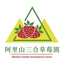 品牌故事｜阿里山三合草莓・純淨高地的甜美奇蹟<br /><br />坐落於阿里山海拔約1200公尺的山巒之間，我們的草莓園孕育出獨一無二的高山風味。得天獨厚的氣候條件、日夜溫差與清新的空氣，讓每一顆草莓都在最理想的環境中慢慢成熟。灌溉使用來自阿里山山脈深處的純淨無汙染山泉水，使果實自然散發細緻香氣與甜美滋味。<br /><br />品牌誕生於對土地的熱愛與對健康生活的堅持。我們相信，「純淨的源頭，成就自然的美味」。因此從種植、採收到加工的每一步，都以友善環境與永續理念為核心，讓每一顆草莓都保有大地最原始的力量與風味。<br /><br />除了新鮮草莓，我們更以此為基礎，研發出「阿里山草莓鮮果酵素飲」──以自家栽培的高山草莓為主原料，採用低溫發酵技術，完整保留草莓的營養與香氣。無添加 香料、色素、甜味劑、防腐劑 ！每瓶酵素含有 28.2% 草莓原汁，搭配嚴選植物乳酸菌，酸甜中帶有層次的果香，口感溫潤順口。它不僅是一瓶天然酵素飲，更是一份來自阿里山的健康禮讚。<br /><br />我們堅持以最真誠的方式，將阿里山的純淨與甜美帶給每一位消費者。從山泉灌溉到瓶中封存，每一口都蘊含大自然最真實的風味與能量。<br /><br />阿里山三合草莓——源自高山，純淨如初，甜入人心。