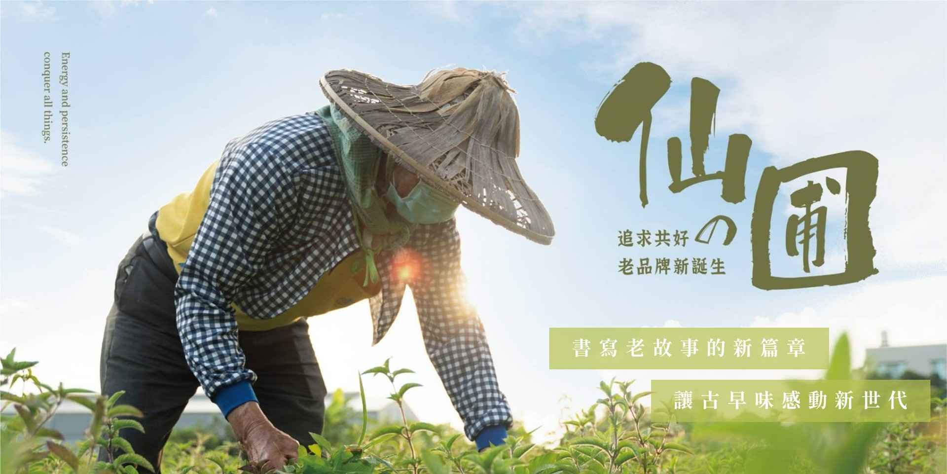 一代辛勤耕耘 嘉義縣在早期因土地水利建設堪稱完善、土地肥沃，所以很多人以農業為生，<br />大約在民國30年左右，我們從阿公那代起，就一直在嘉義縣中埔鄉柑子園務農。<br /><br />二代續命奮鬥 在十幾年前從只有耕種轉型與嘉義縣許多在地農民契作採收仙草， 分佈在水<br />上、中埔、白河地區。我們開始與農民一同成長，十幾年來我們也是與農民一起走到如今。<br /><br />第三代 以農業為根 傳承家族精神 讓農民能持續安心耕種決定落葉歸根回到家鄉 把在地農<br />產品轉型 創造以「仙圃」為主品牌 除了現有的天然仙草茶之外 期能向下扎根開發仙草新的價<br />值 目標創新與眾不同的產品 讓更多人看見嘉義縣仙草發展嘉義縣在地仙草產品多元化。