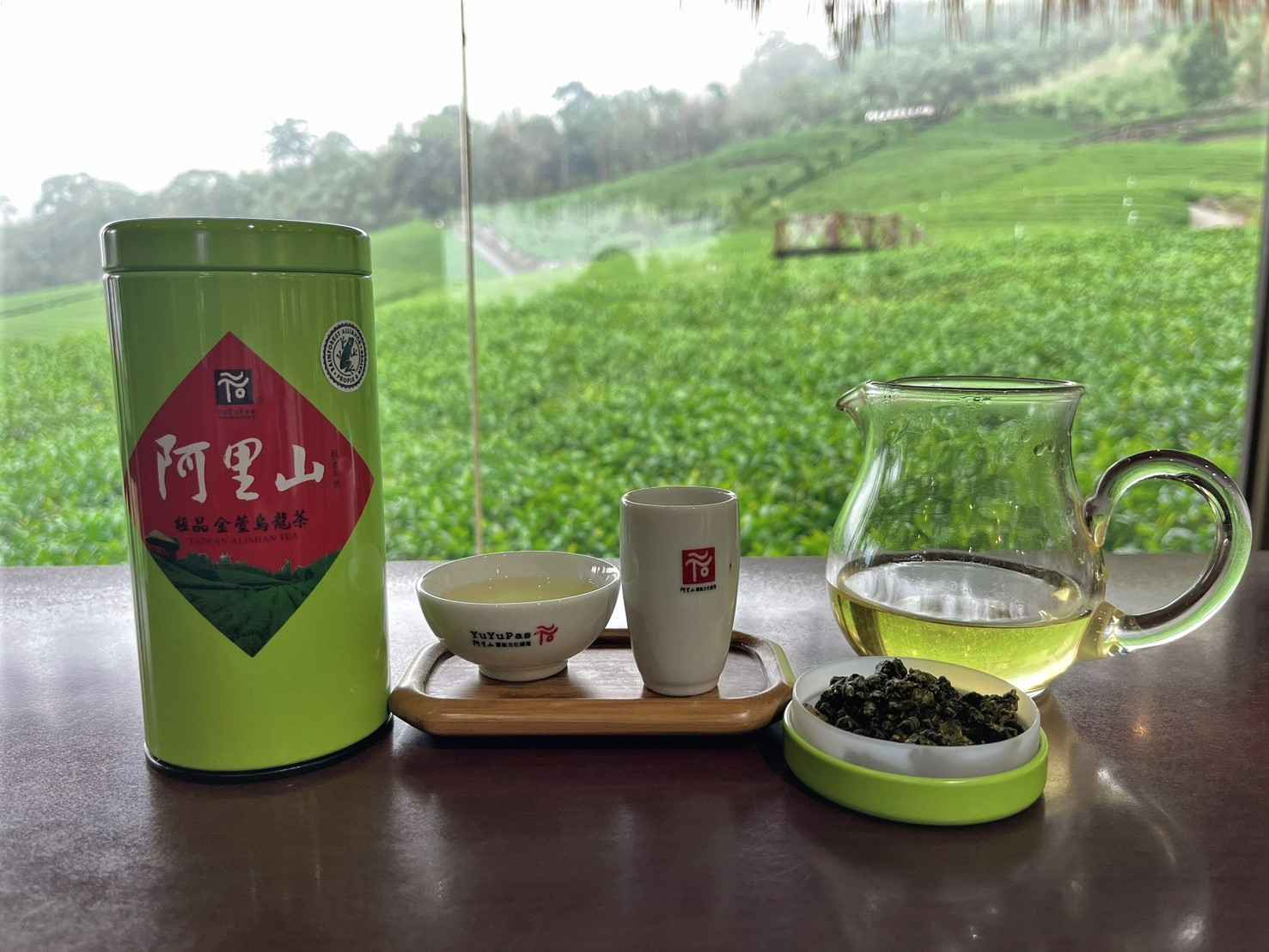 阿里山高山茶】
<br />高山茶指的是海拔超過1000米以上種植的茶園統稱。
<br />
<br />南邊種金萱茶，也就是台灣改良品種，2027編號，
<br />口感清香，有淡淡的奶香味，
<br />海拔在1200～1300米。