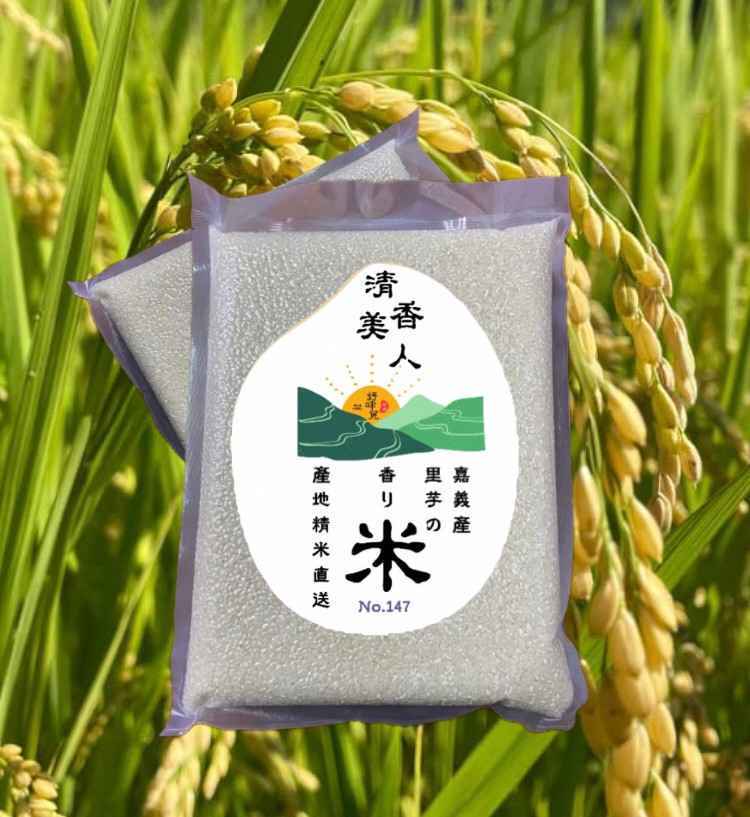 芋香米147號，來自我們嘉義布袋的稻田，天然無添加。農民自產自銷，真材實料，品質保證。
