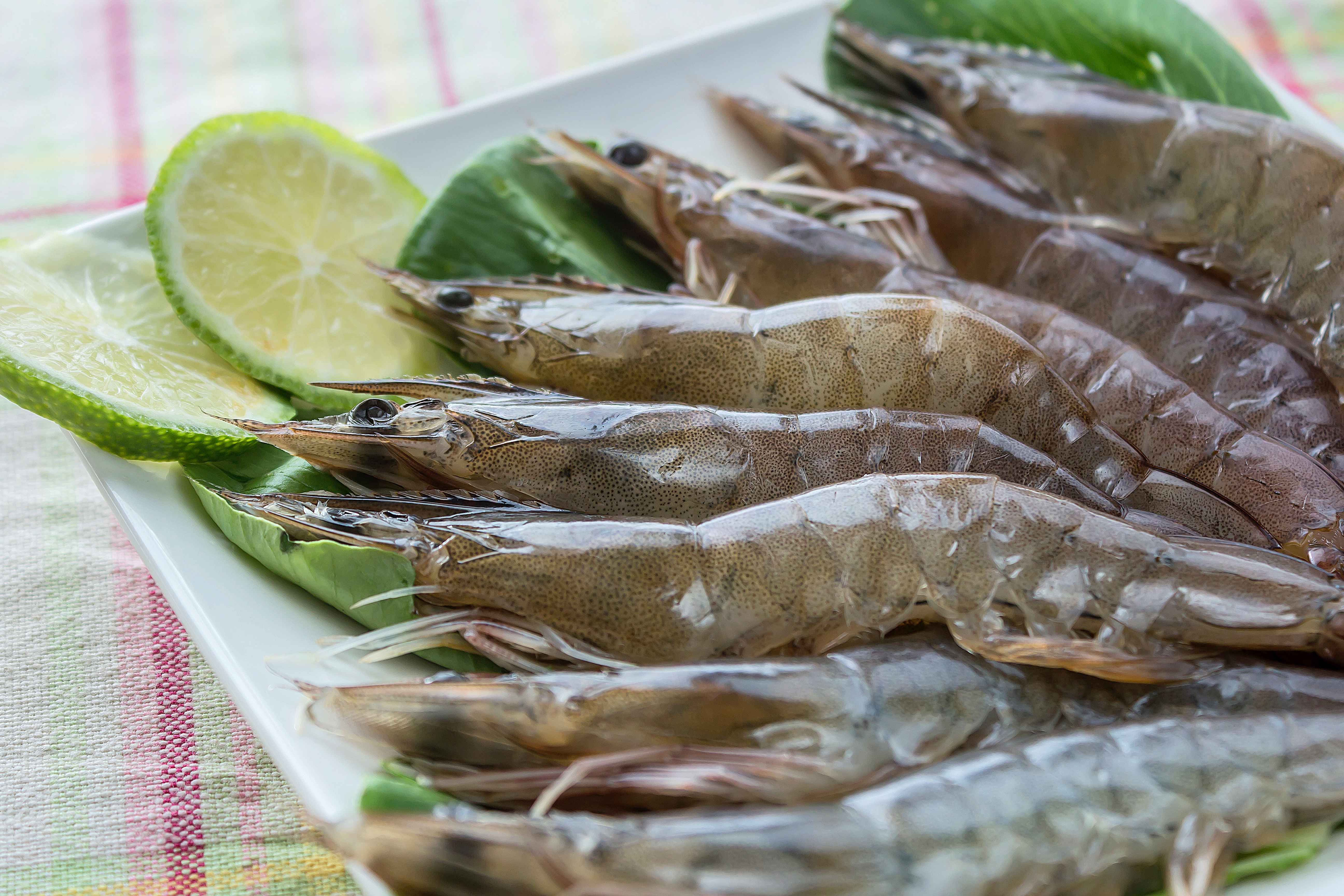 1.祖孫蝦是跟草魚、烏鰡、大頭鰱、虱目魚混養，蝦子與魚類混養有效減少魚群與蝦群間病害的感染，故無需投藥。 
<br />
<br />2.利用益生菌、腐質酸優化水質，減少壞菌滋生。
<br />
<br />3.不使用保鮮劑及防腐劑等化學藥物保鮮，請安心食用。
<br />
<br />白蝦採半鹹水養殖，搭配頂級斑節蝦料飼養，肉質Q彈扎實鮮甜
<br />
<br />魚蝦生態混養，養殖過程不使用任何藥物，通過產銷履歷認證。
<br />低密度養殖，並利用咖啡酵素、益生菌及光合菌優化水質，蝦子健康鮮美。
<br />包裝不使用保鮮劑及防腐劑等化學藥物保鮮，請安心食用。