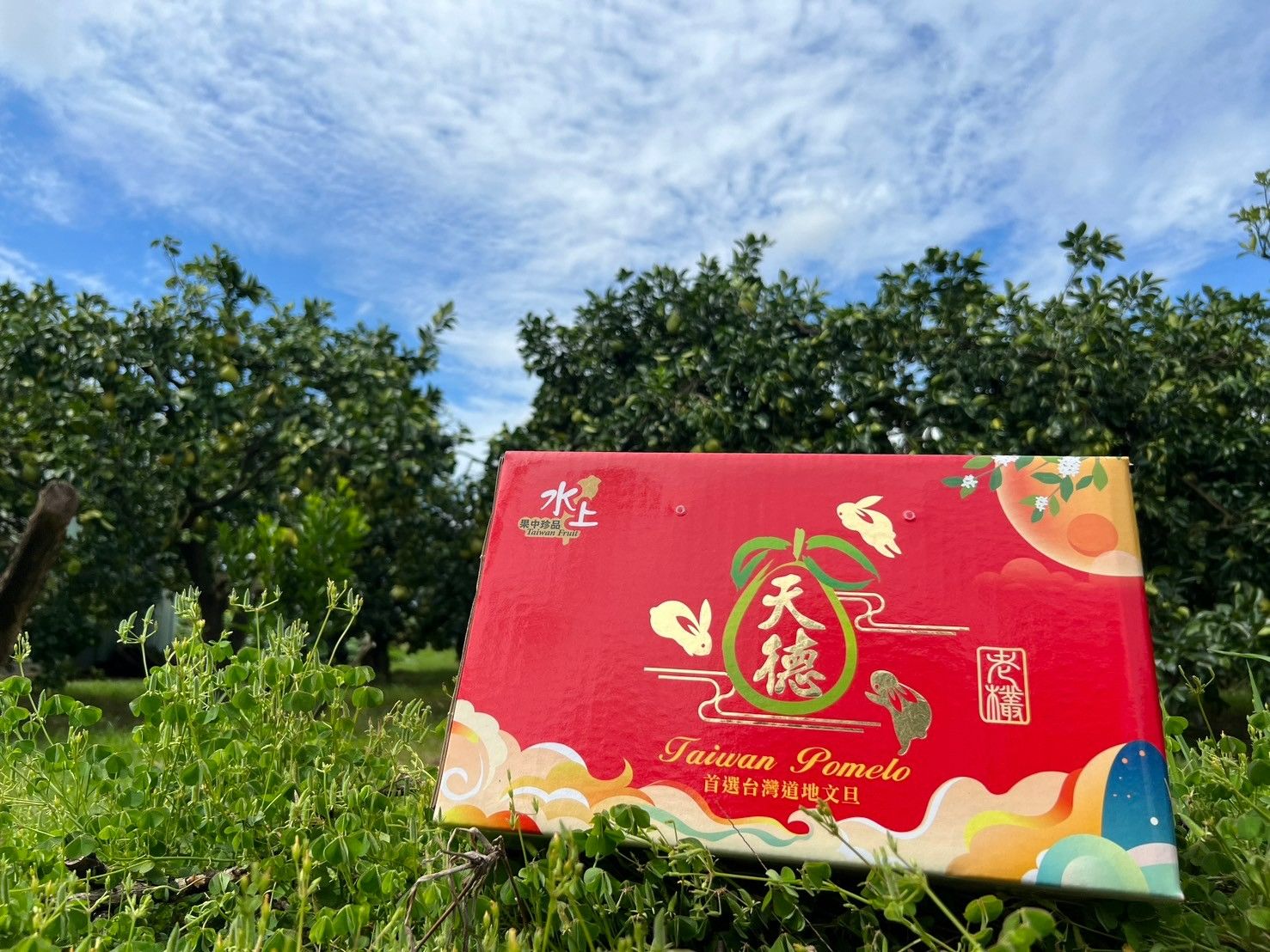 <產季>
<br />文旦(農曆節氣白露前後十天採收)
<br />
<br /><特色介紹>
<br />文旦:有兩種稱謂，中秋節前稱為禮品，經濟價值佳，其中秋節後稱為水果，價格略為降低。